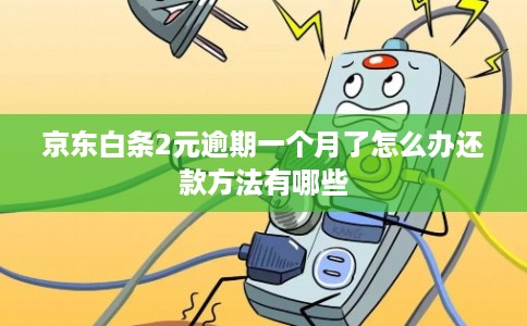 京东白条2元逾期一个月了怎么办还款方法有哪些 京东白条2元逾期一个月了怎么办还款方法有哪些