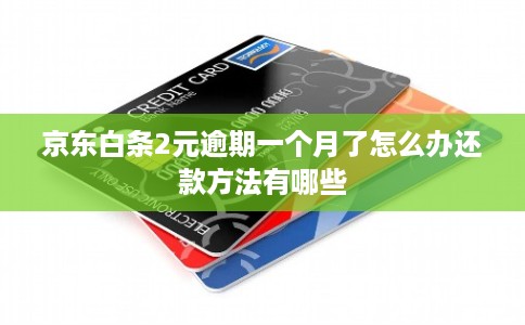 京东白条2元逾期一个月了怎么办还款方法有哪些