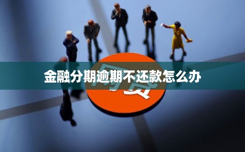 金融分期逾期不还款怎么办