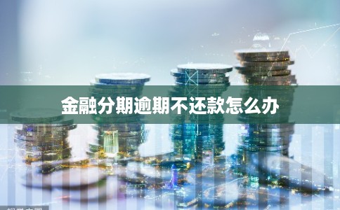 金融分期逾期不还款怎么办