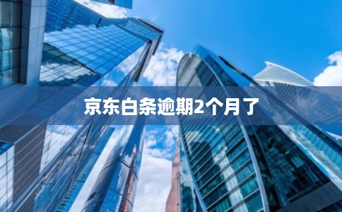 京东白条逾期2个月了 京东白条逾期2个月了