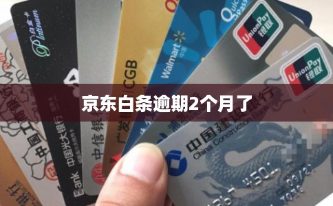 京东白条逾期2个月了