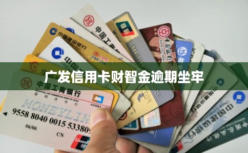 广发信用卡财智金逾期坐牢