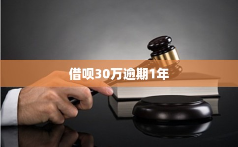 借呗30万逾期1年
