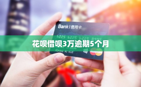 花呗借呗3万逾期5个月
