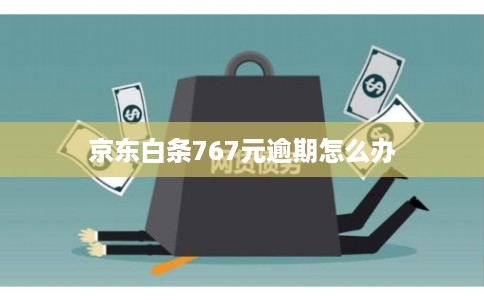 京东白条767元逾期怎么办 京东白条767元逾期怎么办