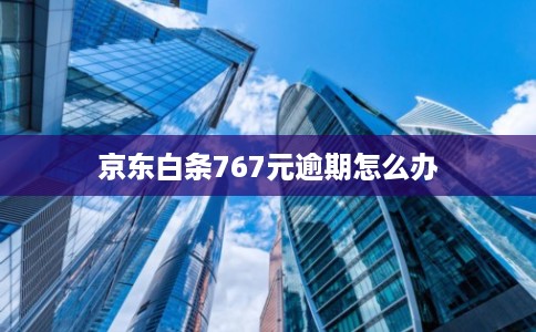 京东白条767元逾期怎么办 京东白条767元逾期怎么办
