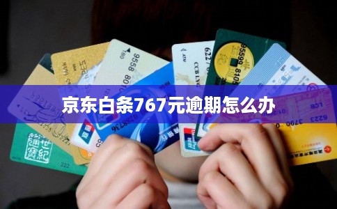 京东白条767元逾期怎么办 京东白条767元逾期怎么办
