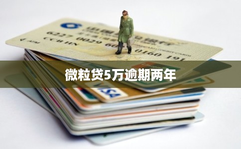 微粒贷5万逾期两年 微粒贷5万逾期两年