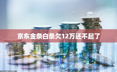 京东金条白条欠12万还不起了