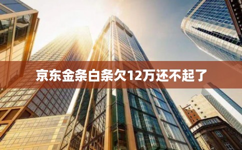 京东金条白条欠12万还不起了