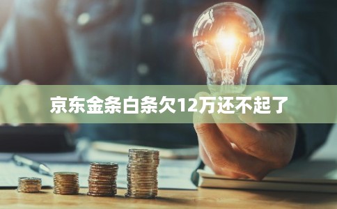 京东金条白条欠12万还不起了