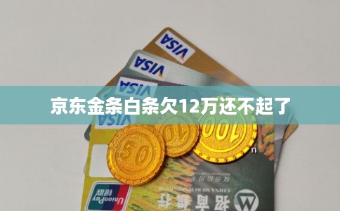 京东金条白条欠12万还不起了