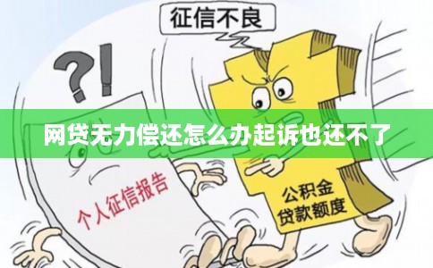 网贷无力偿还怎么办起诉也还不了 网贷无力偿还怎么办起诉也还不了
