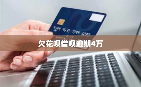 欠花呗借呗逾期4万