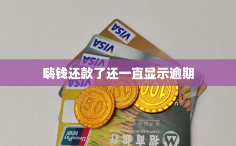 嗨钱还款了还一直显示逾期 嗨钱还款了还一直显示逾期