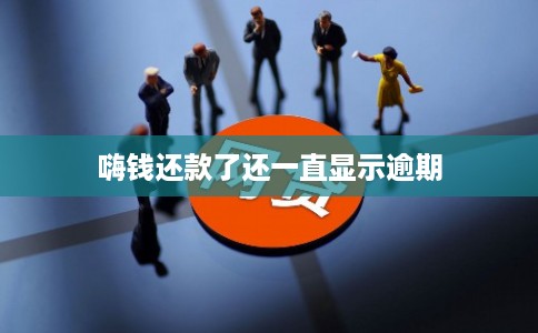 嗨钱还款了还一直显示逾期