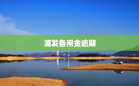 浦发备用金逾期