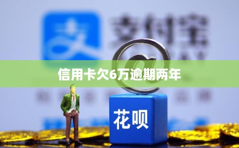 信用卡欠6万逾期两年