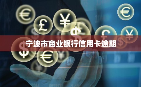 宁波市商业银行信用卡逾期