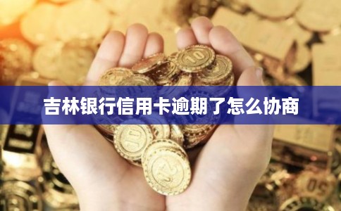 吉林银行信用卡逾期了怎么协商