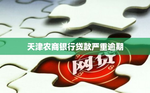 天津农商银行贷款严重逾期