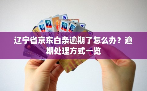 辽宁省京东白条逾期了怎么办？逾期处理方式一览