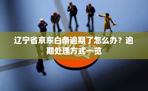 辽宁省京东白条逾期了怎么办？逾期处理方式一览
