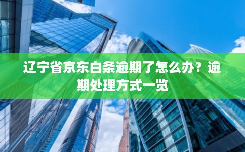 辽宁省京东白条逾期了怎么办？逾期处理方式一览