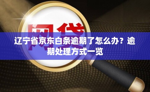 辽宁省京东白条逾期了怎么办？逾期处理方式一览