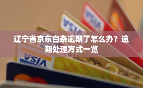 辽宁省京东白条逾期了怎么办?逾期处理方式一览