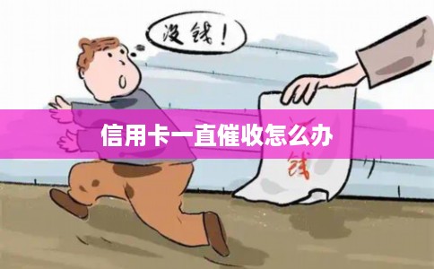 信用卡一直催收怎么办 信用卡一直催收怎么办