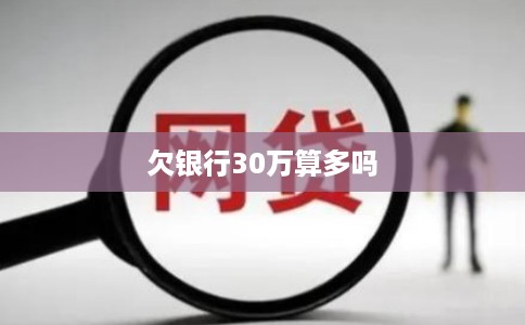 欠银行30万算多吗 欠银行30万算多吗