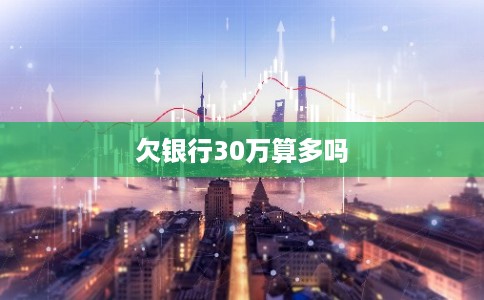 欠银行30万算多吗 欠银行30万算多吗