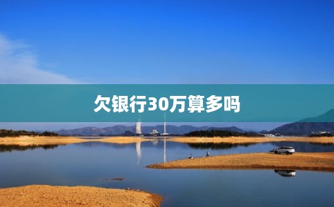 欠银行30万算多吗