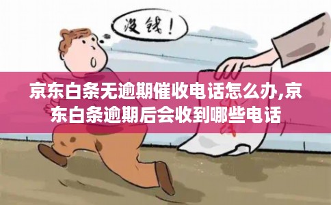 京东白条无逾期催收电话怎么办,京东白条逾期后会收到哪些电话