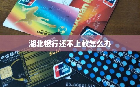 湖北银行还不上款怎么办