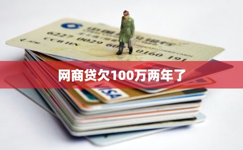 网商贷欠100万两年了