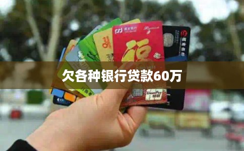 欠各种银行贷款60万
