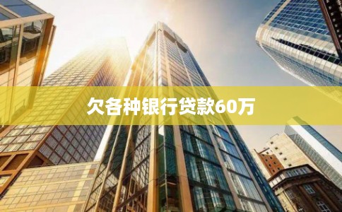 欠各种银行贷款60万