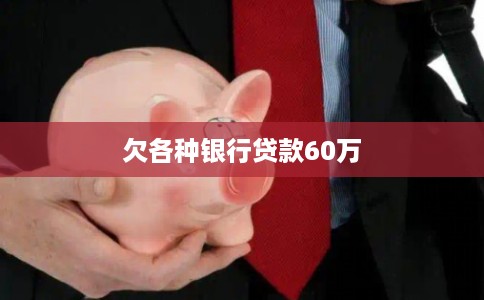 欠各种银行贷款60万