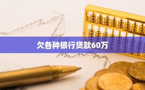 欠各种银行贷款60万