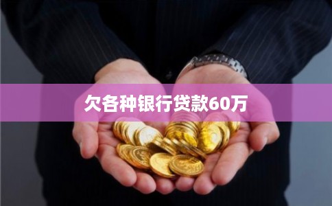 欠各种银行贷款60万