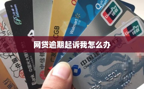 网贷逾期起诉我怎么办