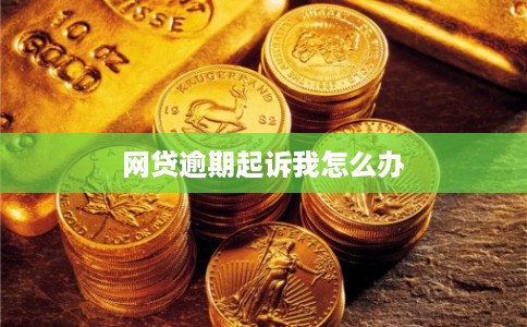 网贷逾期起诉我怎么办