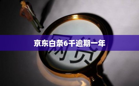 京东白条6千逾期一年 京东白条6千逾期一年