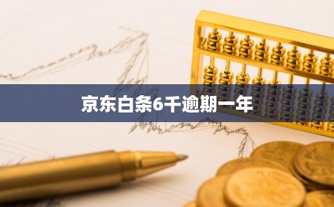 京东白条6千逾期一年 京东白条6千逾期一年