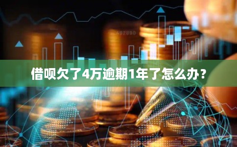 借呗欠了4万逾期1年了怎么办? 借呗欠了4万逾期1年了怎么办?