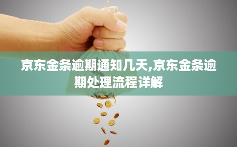 京东金条逾期通知几天,京东金条逾期处理流程详解