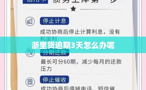 浙里贷逾期3天怎么办呢